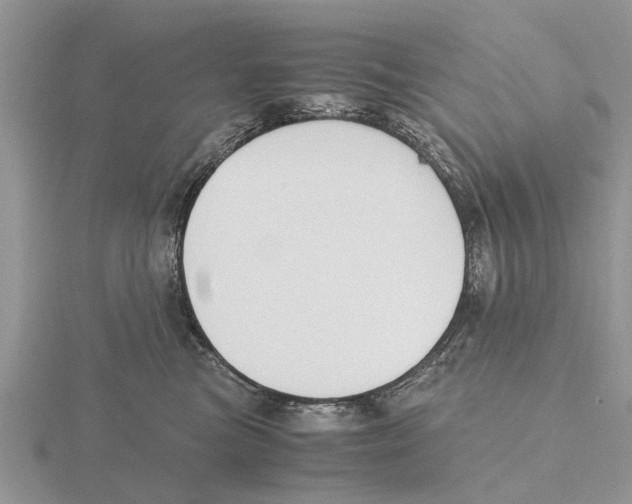 X0000115700473200912101219