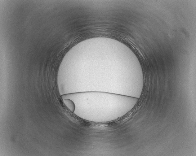 X0000115700476200912101219