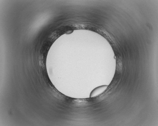 X0000115700477200912101219