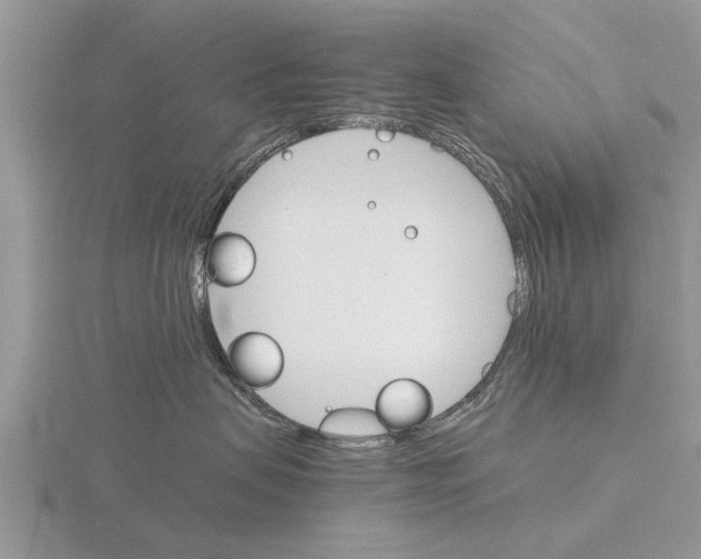 X0000115700479200912101219