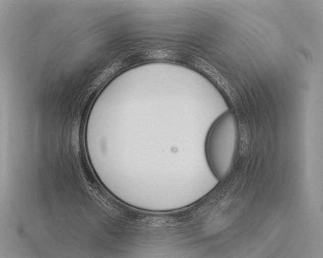 X0000115700482200912101218