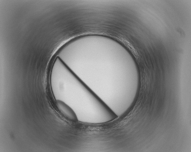 X0000115700484200912101218