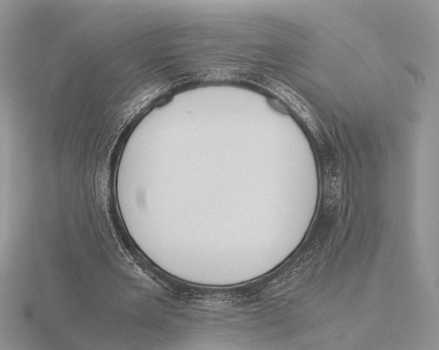 X0000115700485200912101218