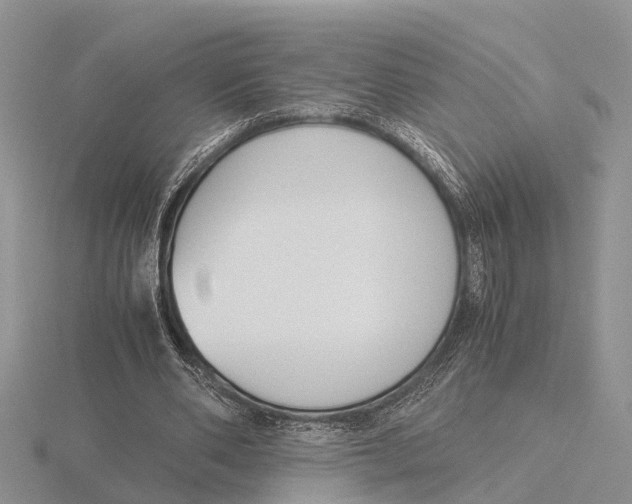 X0000115700486200912101218