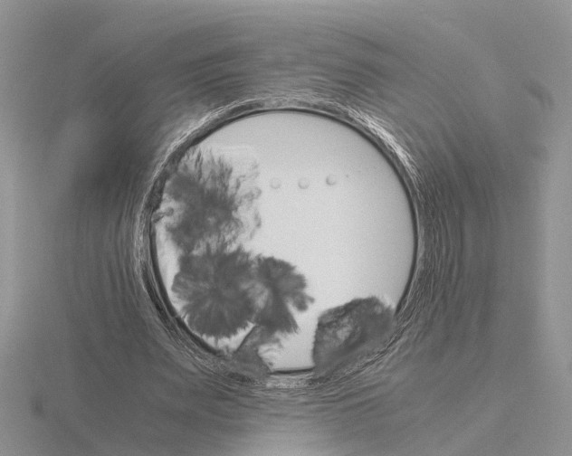 X0000115700487200912101218