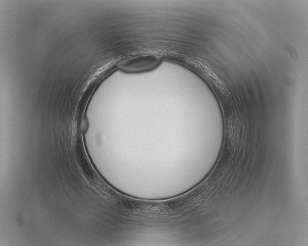 X0000115700488200912101218