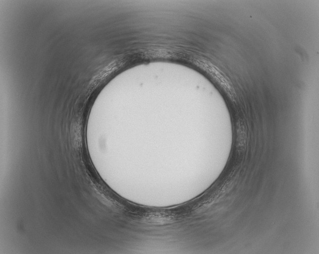 X0000115700489200912101218