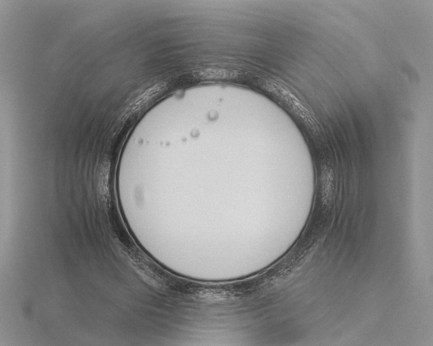 X0000115700490200912101218