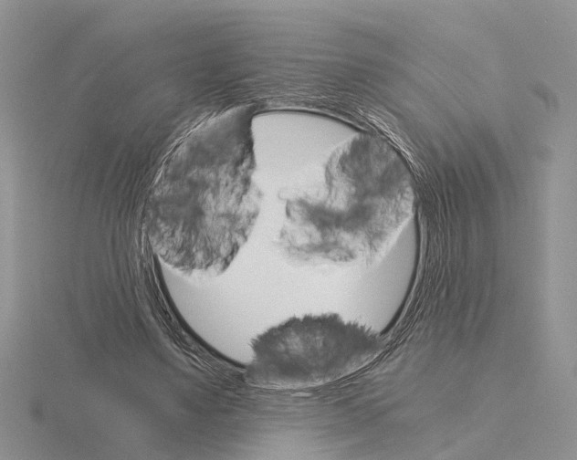 X0000115700491200912101218