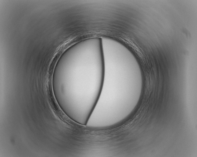 X0000115700492200912101218