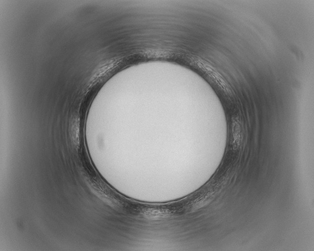 X0000115700494200912101218