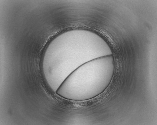 X0000115700496200912101218