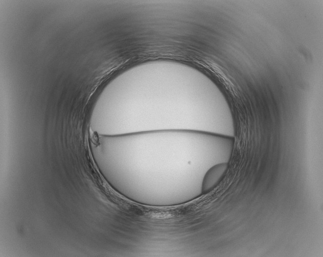 X0000115700500200912101218