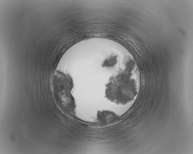 X0000115700503200912101218