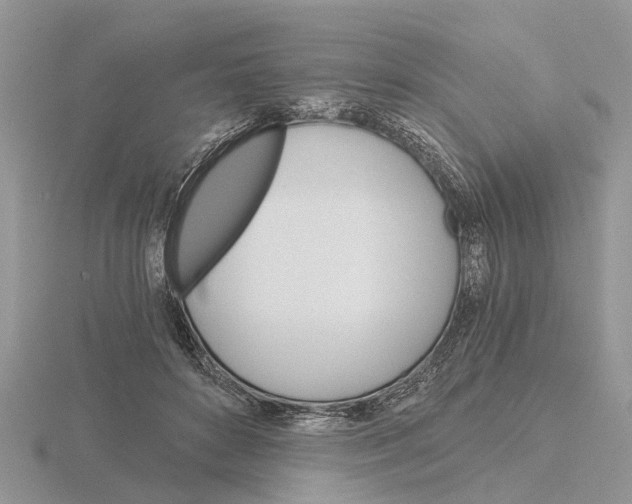 X0000115700504200912101218