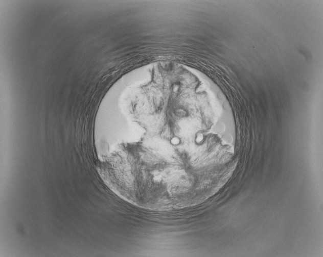 X0000115700511200912101218