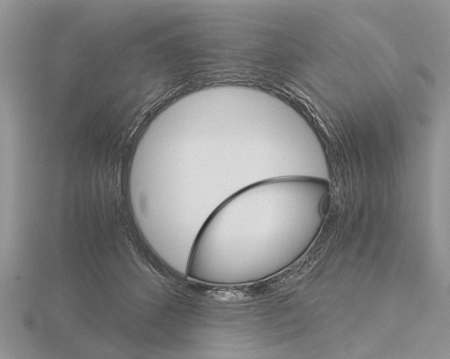 X0000115700512200912101218