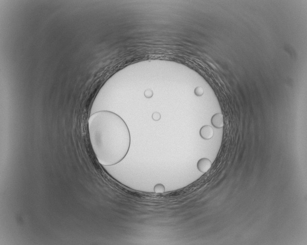 X0000115700515200912101218