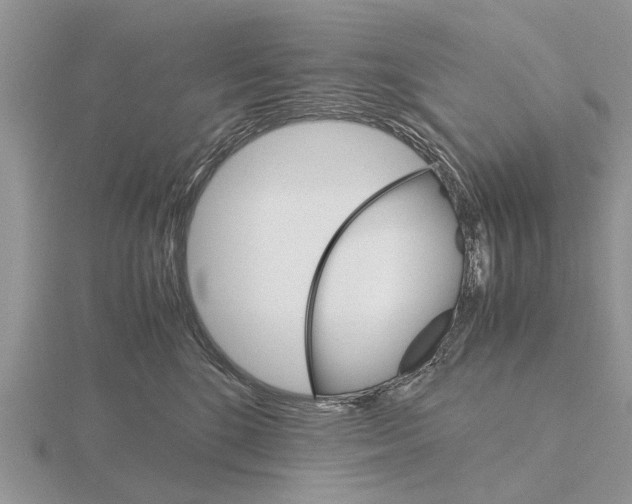 X0000115700520200912101218