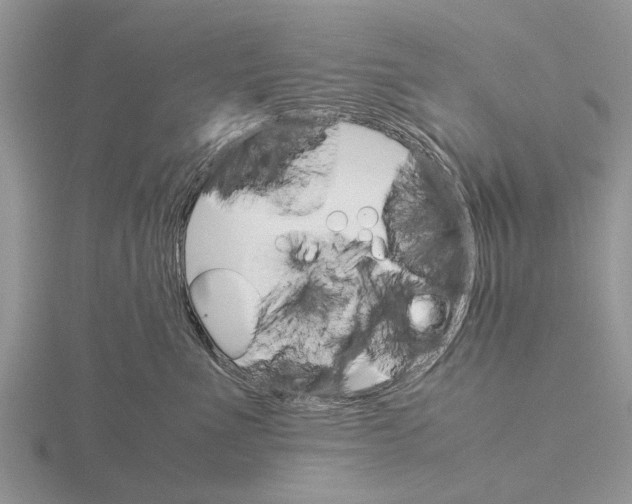 X0000115700523200912101218