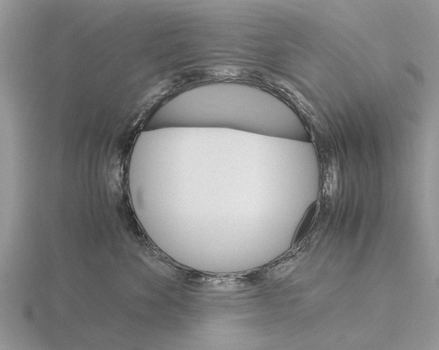 X0000115700524200912101218