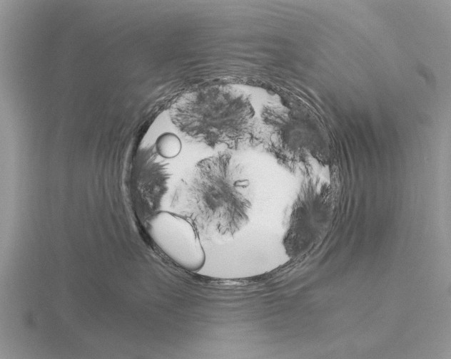 X0000115700527200912101218