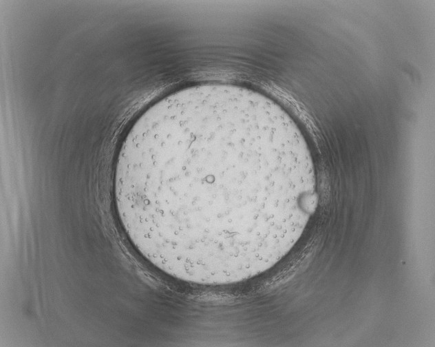 X0000115700529200912101217