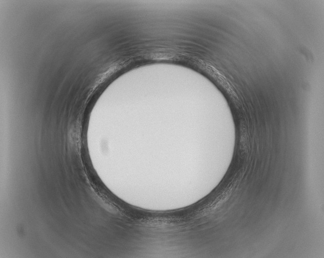 X0000115700530200912101217