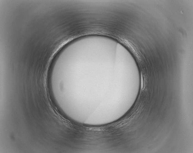 X0000115700531200912101217