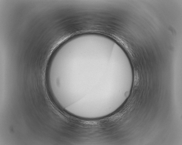 X0000115700535200912101217