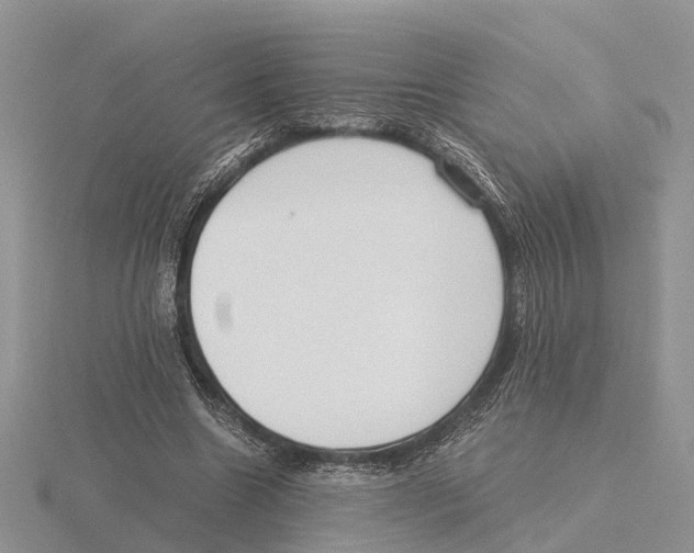 X0000115700538200912101217