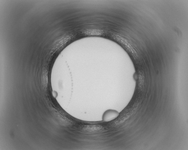 X0000115700541200912101217