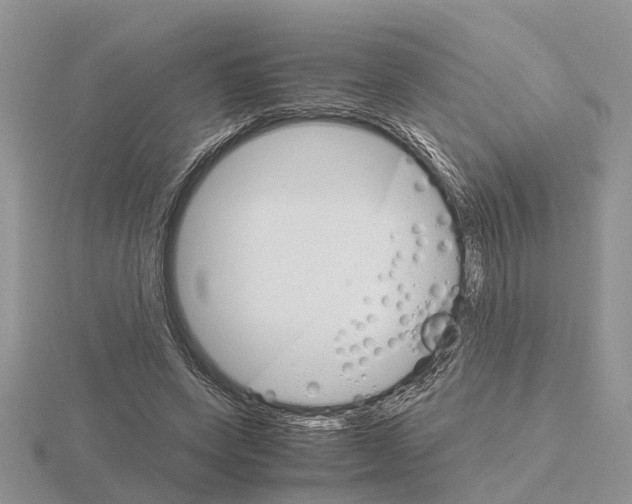 X0000115700543200912101217