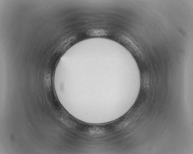 X0000115700549200912101217