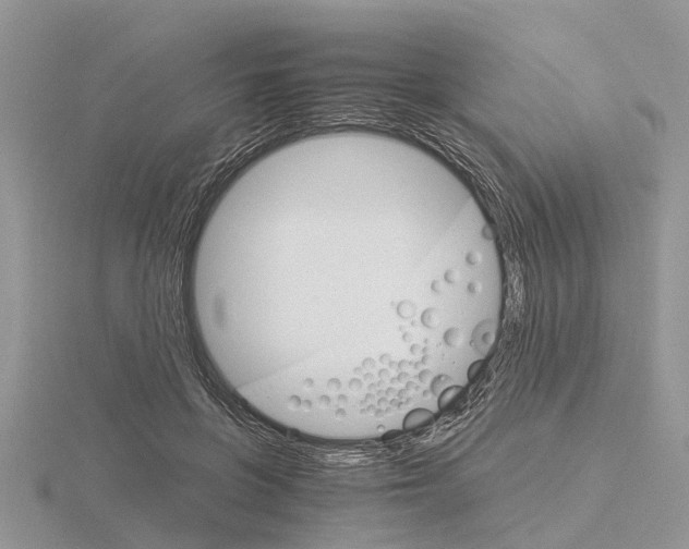 X0000115700551200912101217