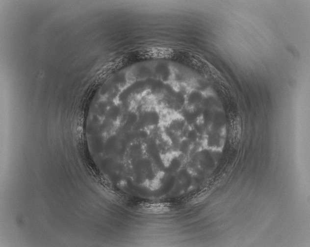 X0000115700553200912101217