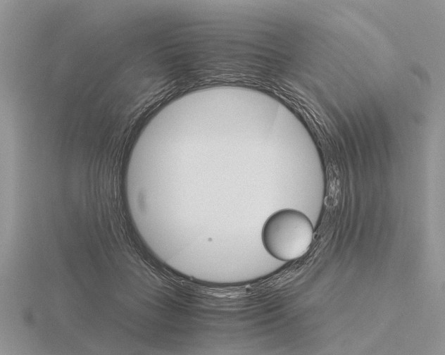 X0000115700555200912101217