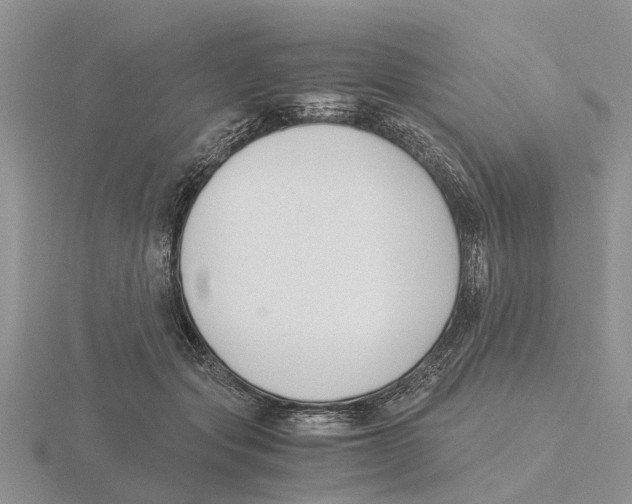 X0000115700557200912101217