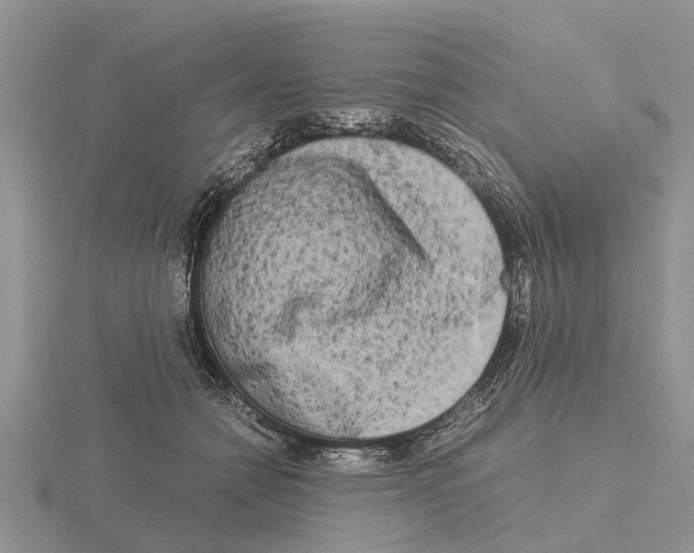 X0000115700558200912101217