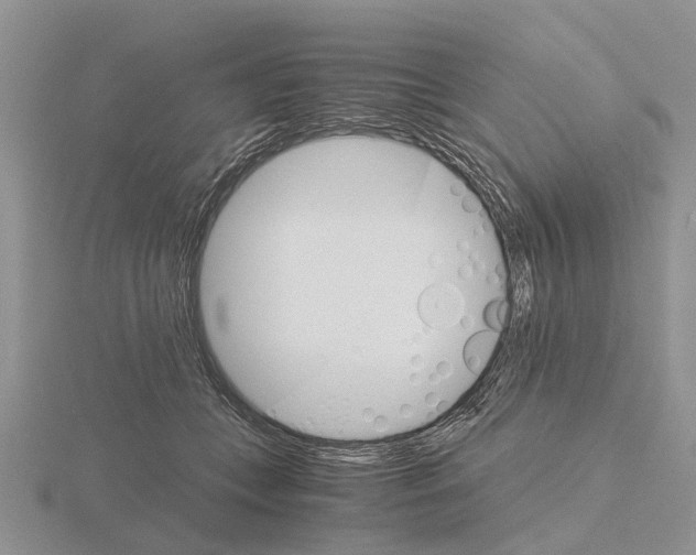 X0000115700559200912101217