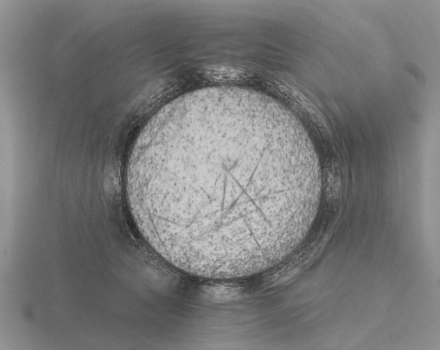 X0000115700561200912101217