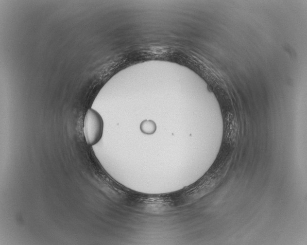 X0000115700562200912101217