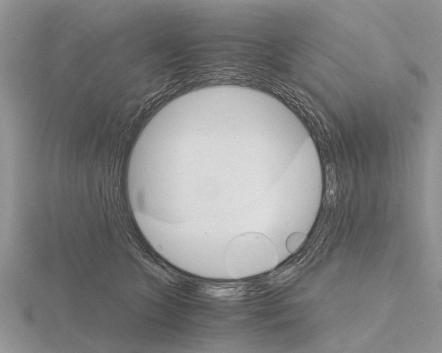 X0000115700563200912101217