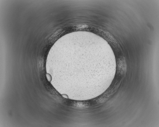 X0000115700565200912101217