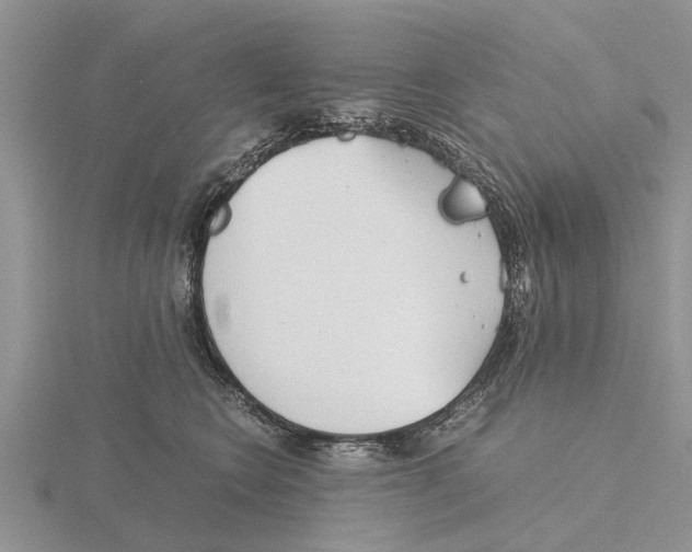 X0000115700566200912101217