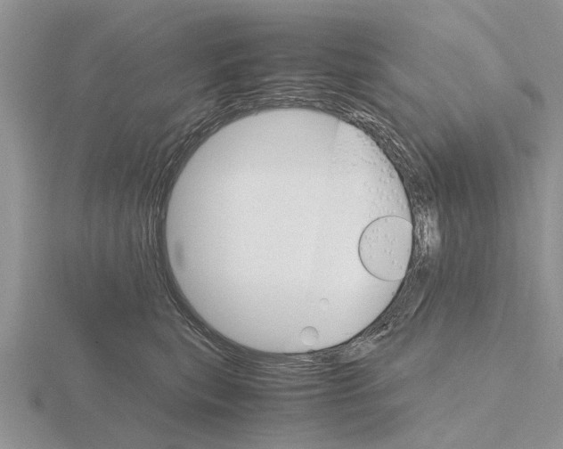 X0000115700567200912101217