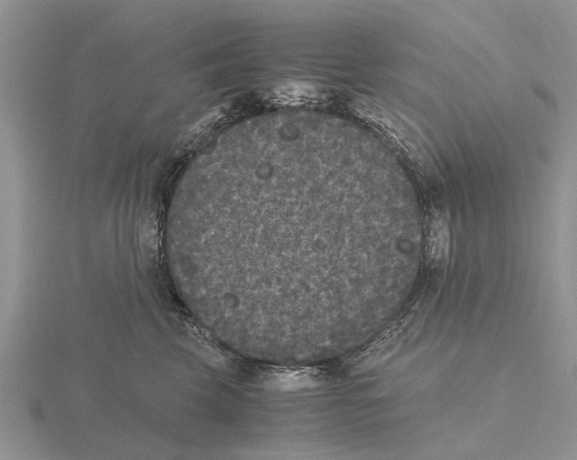 X0000115700569200912101217