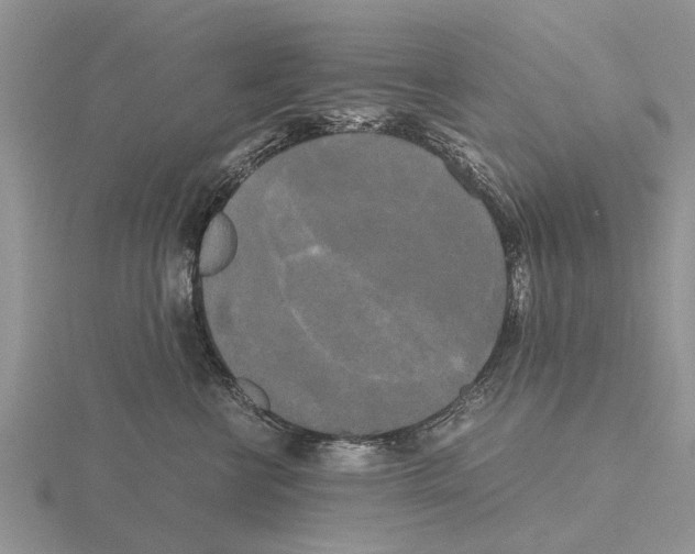 X0000115700570200912101217