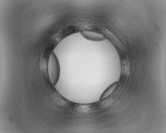 X0000115700573200912101217