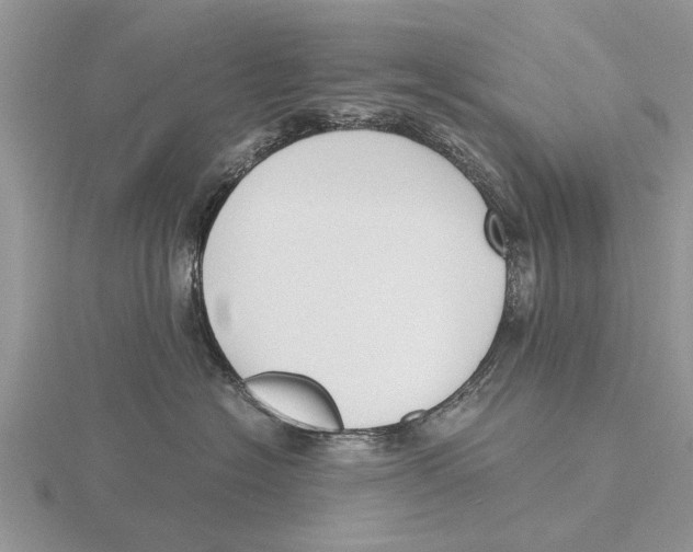 X0000115700574200912101218